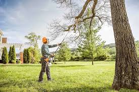 Best Tree Disease Treatment  in Eagle Crest, OR